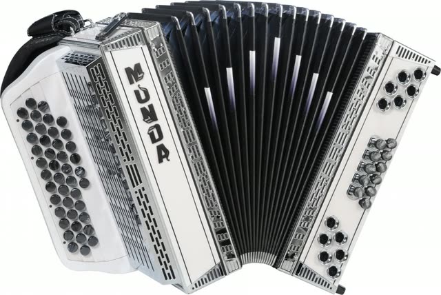 Prava harmonika MUNDA Bela